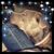 Lori Alford's profile image
