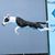 Sue Ethier's profile image