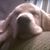 Carol Thompson's profile image