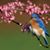 Lynnelle Hanson's profile image