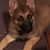 Joe Grudza's profile image