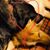 Elizabeth Eubanks's profile image