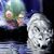 Tisha Budreau's profile image