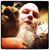 Jay Landry's profile image