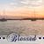 Vicki Ellison-Rotter's profile image
