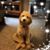 Brenda Erickson's profile image
