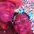 Marla Hargrove's profile image