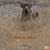Alban J Reynolds's profile image