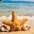 Christine Schuller's profile image