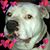Patty May Cook's profile image