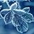 Sue Brock Weis's profile image