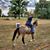 Kecia Renee Morris's profile image