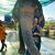 Alexis Thomas's profile image