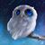 Jean Alexander's profile image