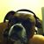 Jeremy Schnierle's profile image