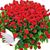 Razan Hasno's profile image