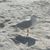 Wendy McCool's profile image