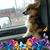 Darlene Hennessy's profile image