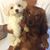 Joane Jean Elie's profile image