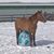 Tina Caldwell's profile image