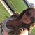 Danielle Johnson's profile image