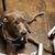 Jennifer Jamison's profile image