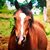 Lindsay Davis's profile image