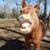Renee Parker Pratt's profile image