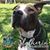 Trina Van Gieson's profile image