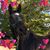 Sheila Flucke's profile image
