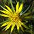 Karen Baar Hasby's profile image
