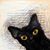 Loureen McCormick's profile image