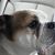 Kimberly Hughes Clonch's profile image