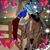 Renae Cook's profile image