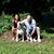 Linda Cove-Gano's profile image