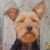 Donna Cabler Patterson's profile image