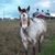 Lisa Powers's profile image