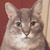 Susan Milhan's profile image