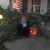 Jennifer Dowler Koontz's profile image