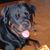 Yann Druon's profile image
