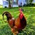 Cathy Foster's profile image