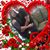 Lucia Liranzo's profile image