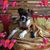 Connie Headley-Childers's profile image