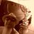 Melecio Zuniga's profile image