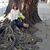 Claudia Mariel Astigarraga's profile image