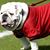 Joe Amber Beckon's profile image