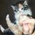Michelle Zebrowski's profile image