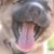 Shelbster Lew's profile image
