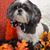 Peggy Lee West's profile image