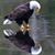 Nolan Rader's profile image